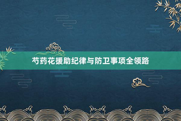 芍药花援助纪律与防卫事项全领路