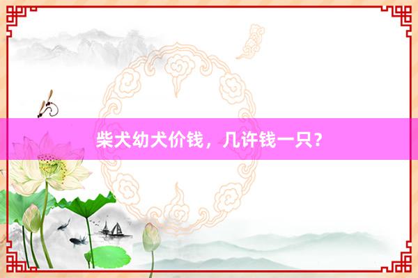 柴犬幼犬价钱，几许钱一只？