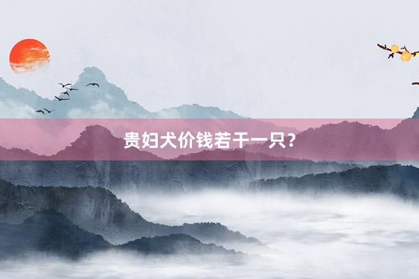 贵妇犬价钱若干一只？