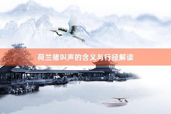 荷兰猪叫声的含义与行径解读